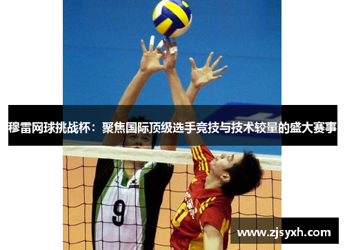 穆雷网球挑战杯：聚焦国际顶级选手竞技与技术较量的盛大赛事