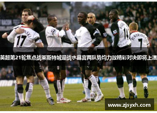 英超第21轮焦点战莱斯特城迎战水晶宫两队势均力敌精彩对决即将上演